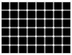 findtheblackdot.jpg