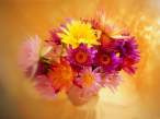 flower....jpg