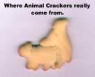 crackers.jpg