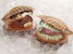 Oysters.jpg