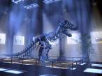 448_trex_1024.jpg