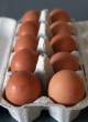 eggs-is-eggs.jpg