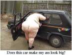 car_question.jpg