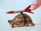 schildkroete.jpg