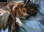 cuddle.jpg