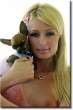 Paris-Hilton-Boobies.jpg