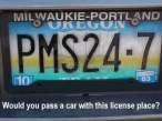PMS plate.jpg