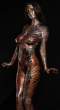 Tony Rice's Painted Shadows 3.jpg