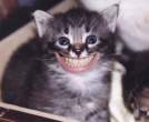 Smile.jpg