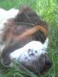 Picture 0163.jpg