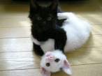 blacky en whitty.jpg