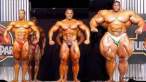 Big bigger the biggest.jpg