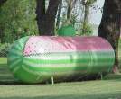Watermelon Tank.jpeg