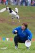 frisbee_dog.jpg