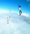And they came falling from the skies.jpg