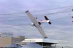 Tangled Glider.jpg