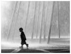 Boy and fountain.jpg