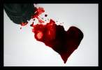 This Thing Called Love.jpg