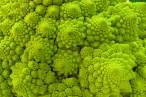 Green.jpg