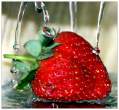 fresh strawberry.jpg