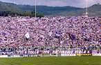 91-92 viola-roma.jpg