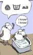 Sheep shrinkage.jpeg