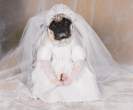 Wedding.jpg
