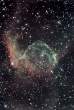 cosmos_6.jpg