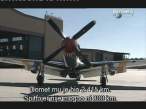 mustang 10.jpg