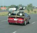 Redneck.jpg