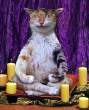 Meditation.jpg