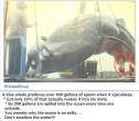 Whale.jpg