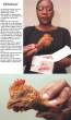chicken_head_nugget.jpg