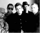 sugarray.jpg