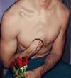 3 Roses.jpg