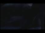 ScreenShot036.jpg