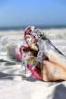 Extreme Beachgoers.jpg