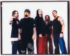 Korn7.jpg