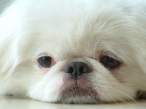 Tired.jpg