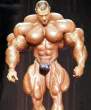 Body Builder.jpg
