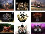 Neil Peart collection.jpg