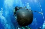 sealsub38lc.jpg