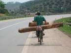 Wood Hauling.jpg