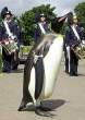 Penguin Seems Out Of Place.jpg
