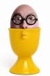 Egg.jpg