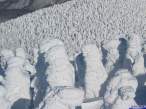Snow.jpg
