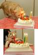 Birthday.jpg