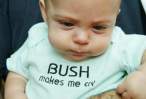Bush.jpg