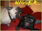 Racist.jpg