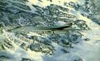 b-1b-snow.jpg